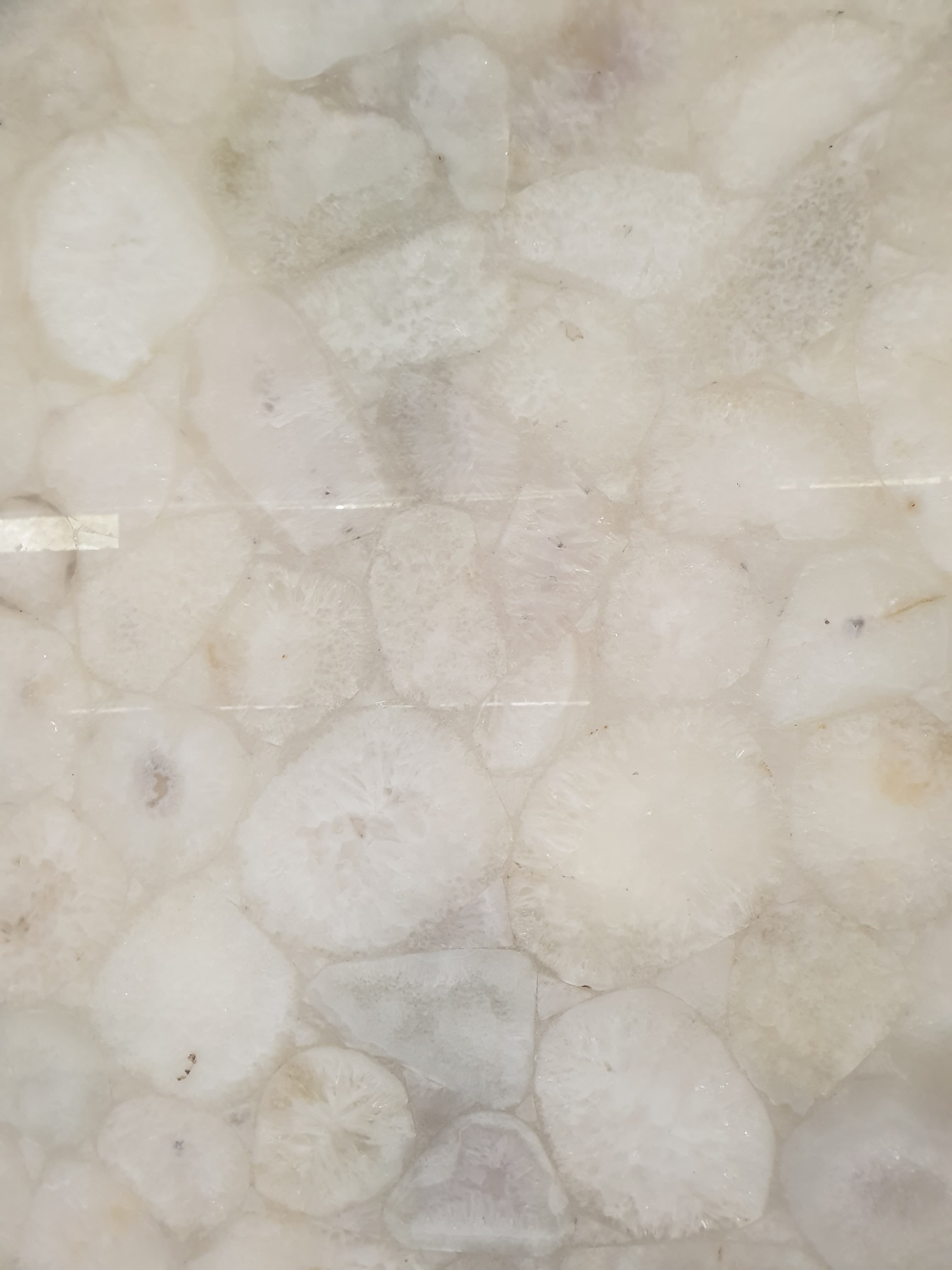 Ivory Agate